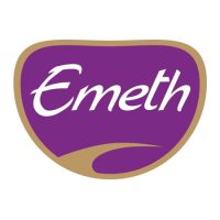 EMETH_LOGO_PANTONE
